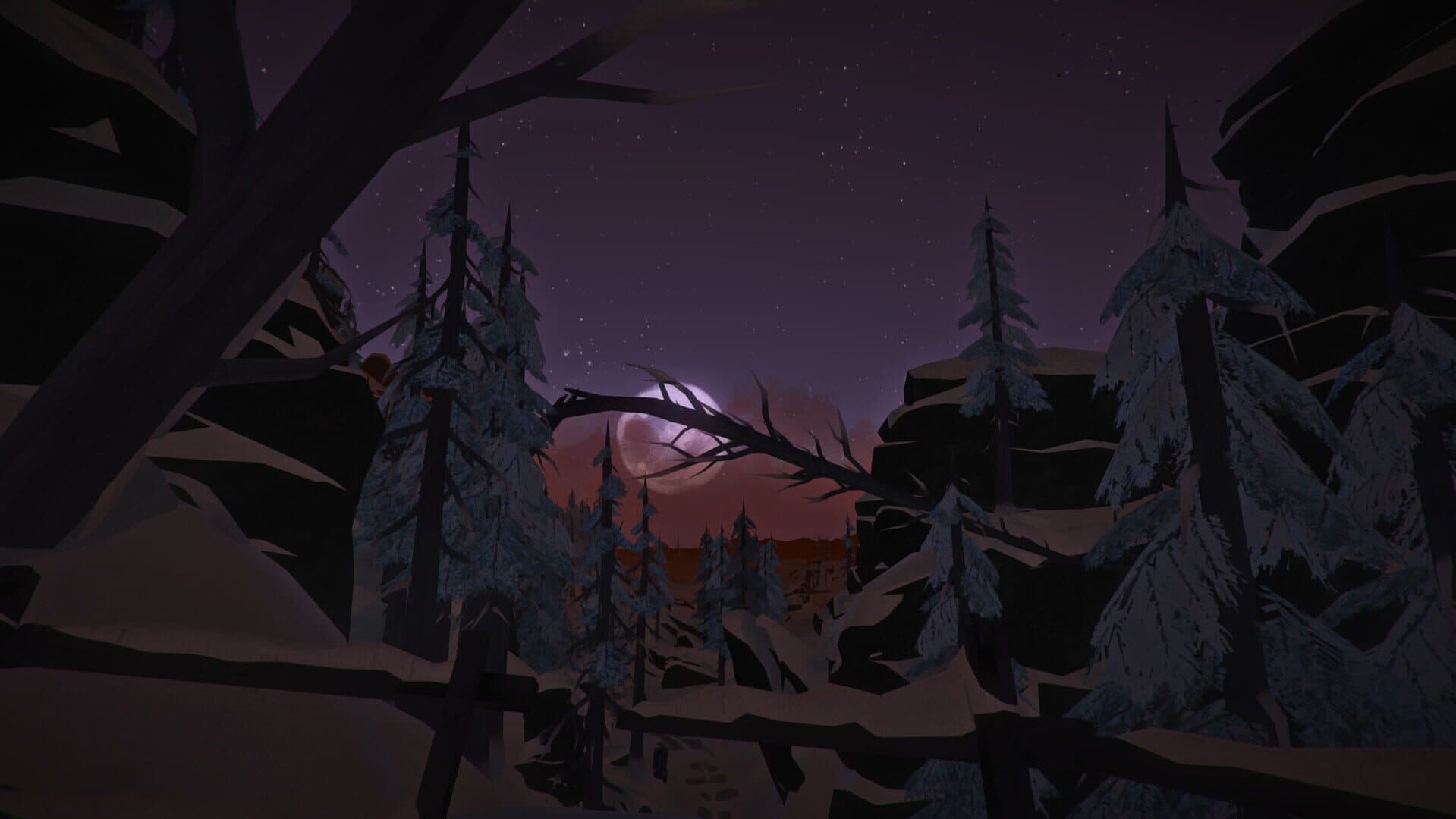The Long Dark gameplay screenshot 5