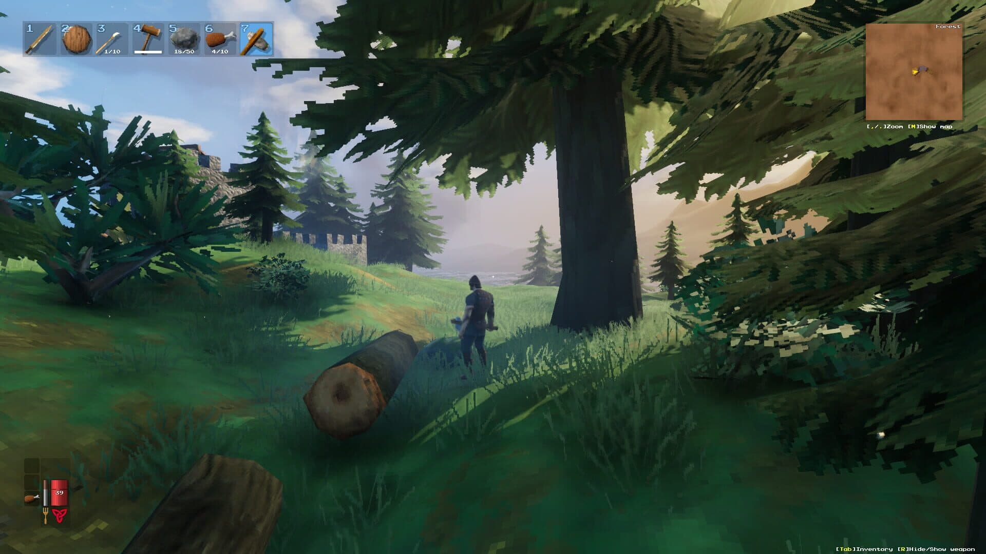 Valheim gameplay screenshot 4