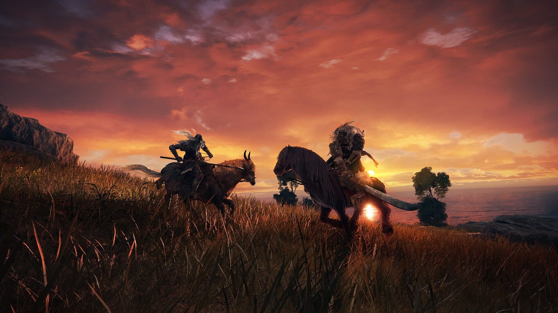 Elden Ring gameplay screenshot 6