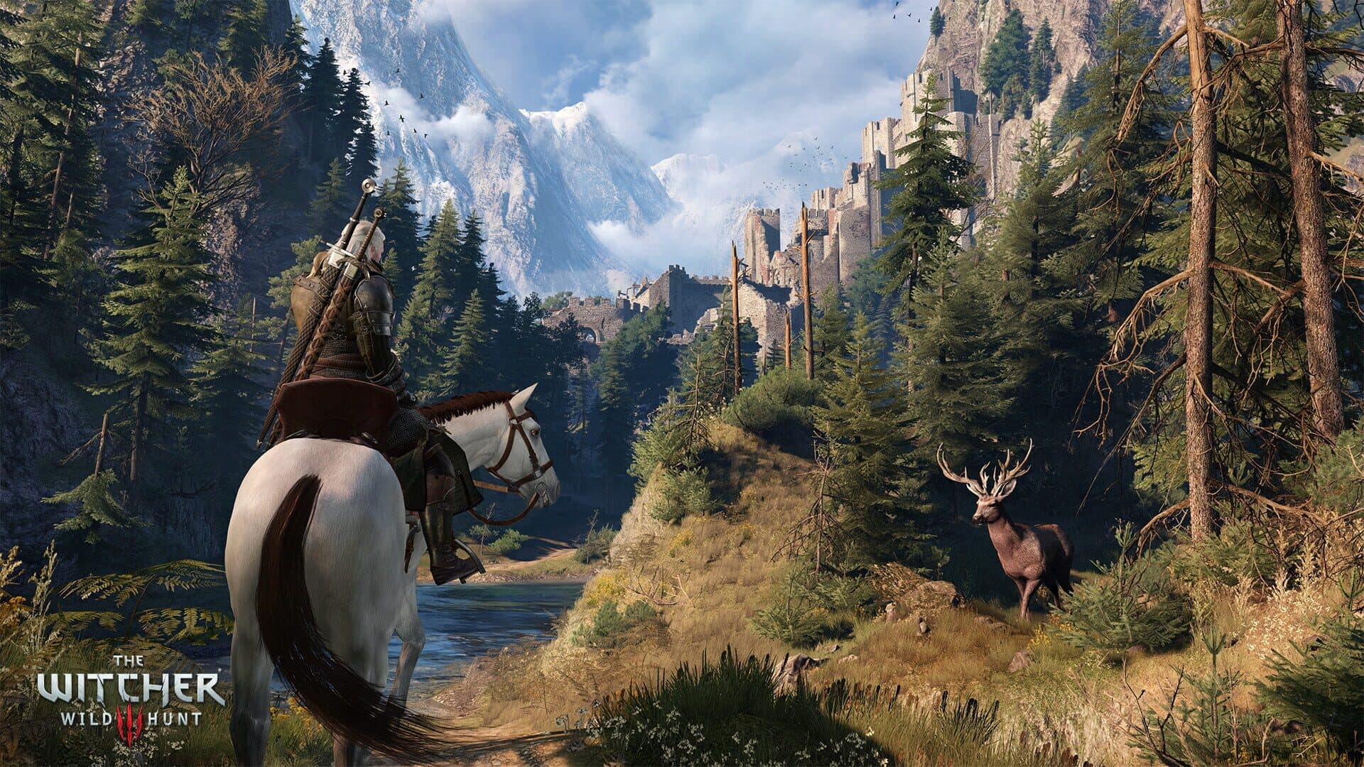 The Witcher 3: Wild Hunt gameplay screenshot 4