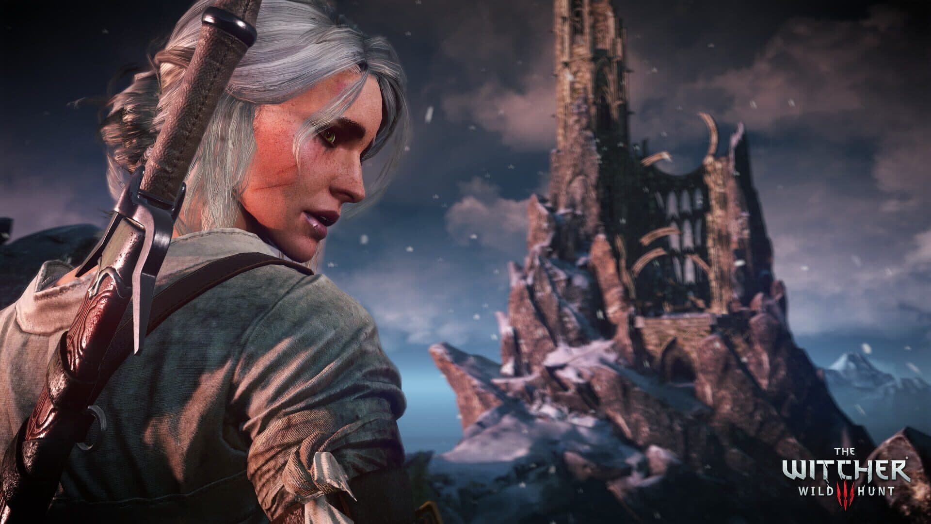 The Witcher 3: Wild Hunt gameplay screenshot 7