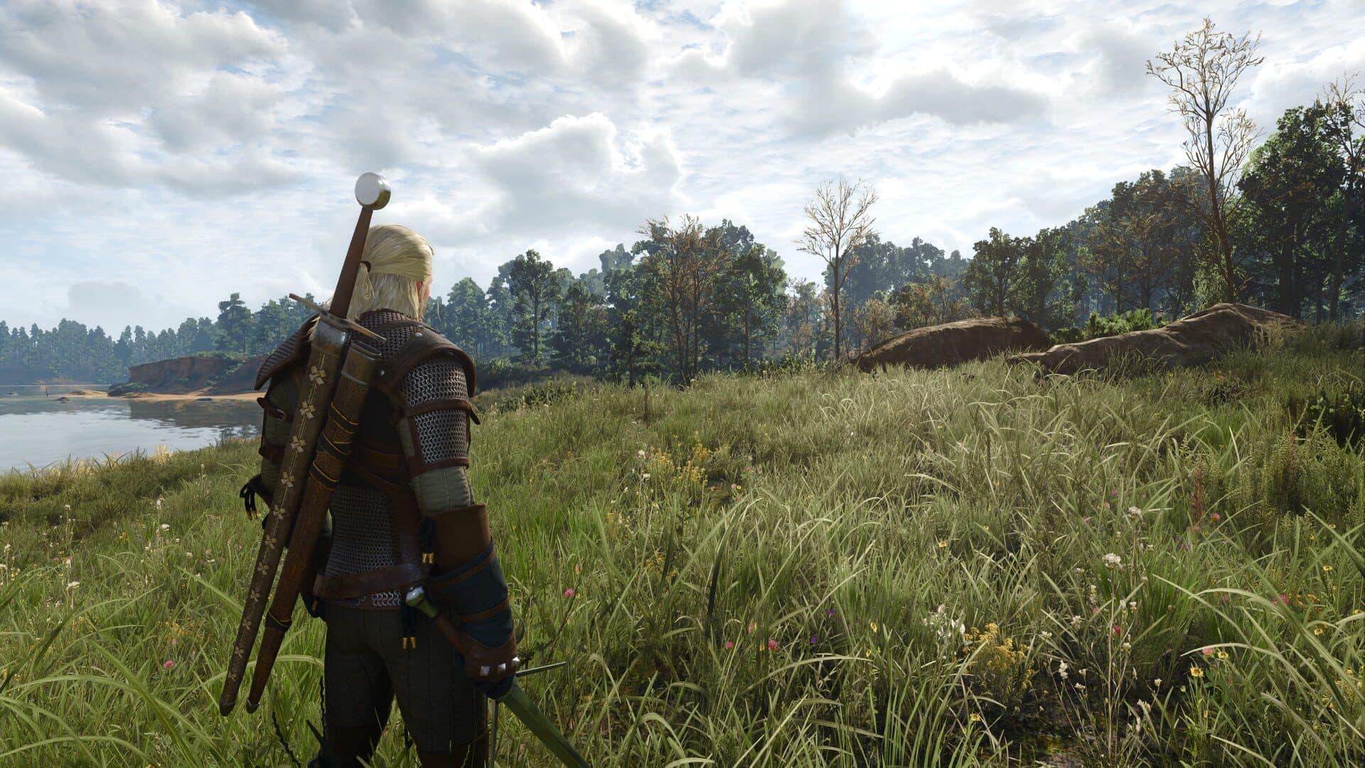 The Witcher 3: Wild Hunt gameplay screenshot 8