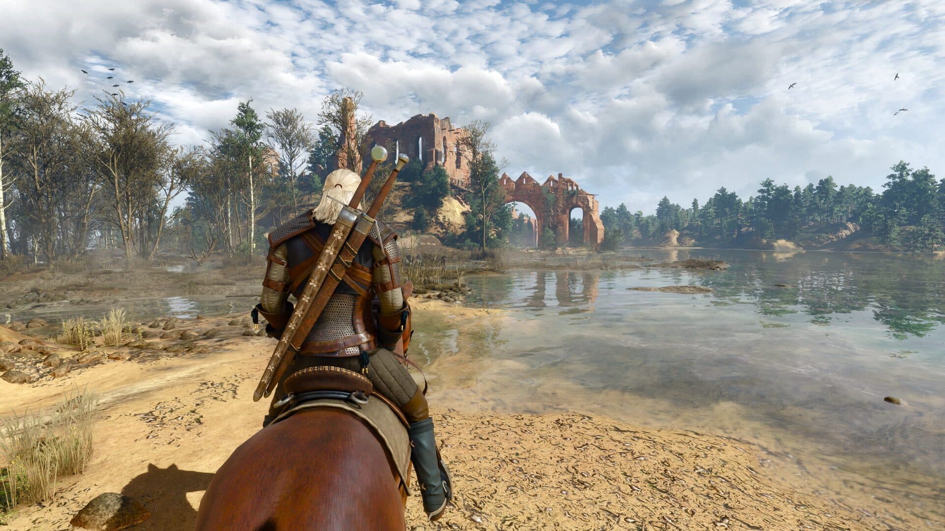 The Witcher 3: Wild Hunt gameplay screenshot 10